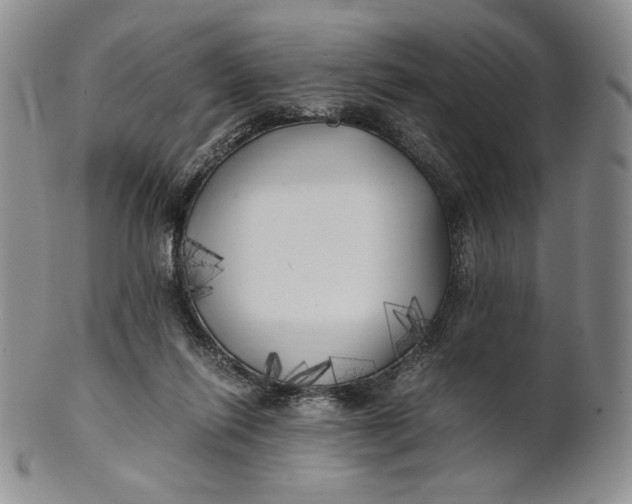 X0000100760262200807101735