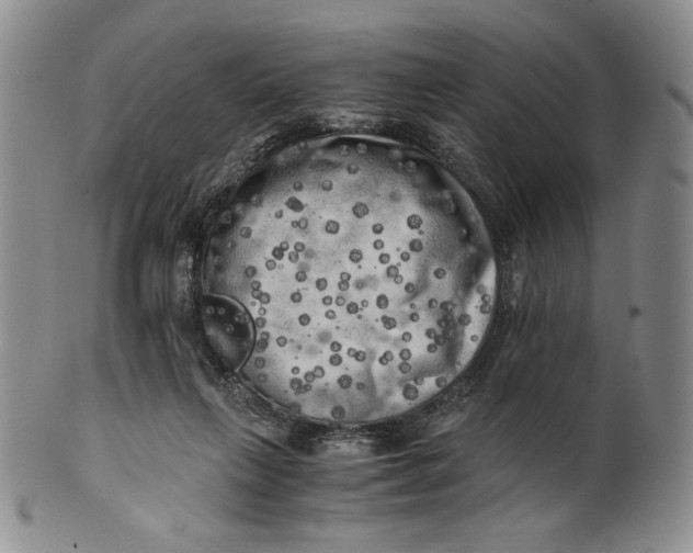 X0000100760263200807101735