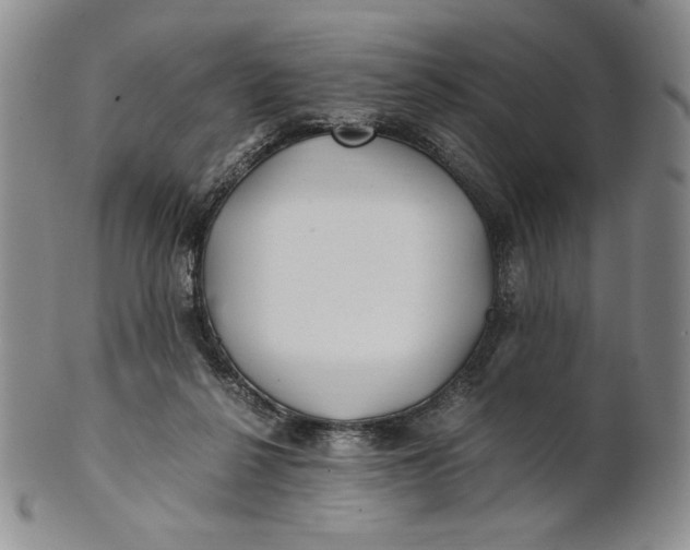 X0000100760264200807101735