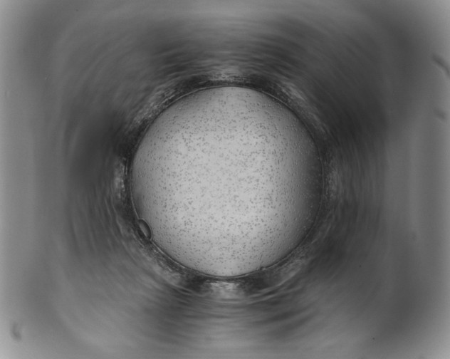 X0000100760265200807101735