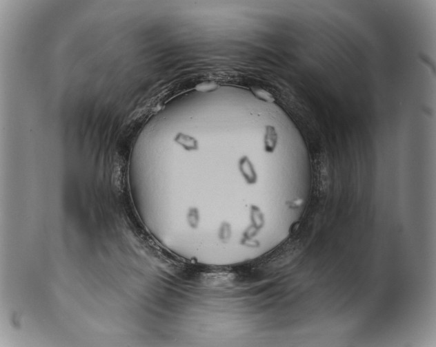 X0000100760266200807101735