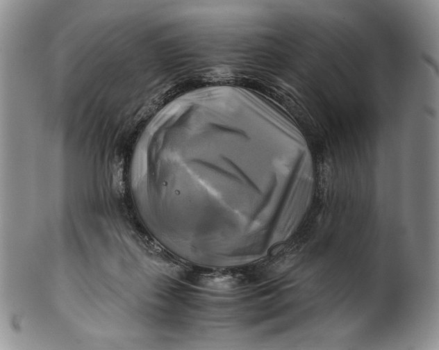 X0000100760267200807101735