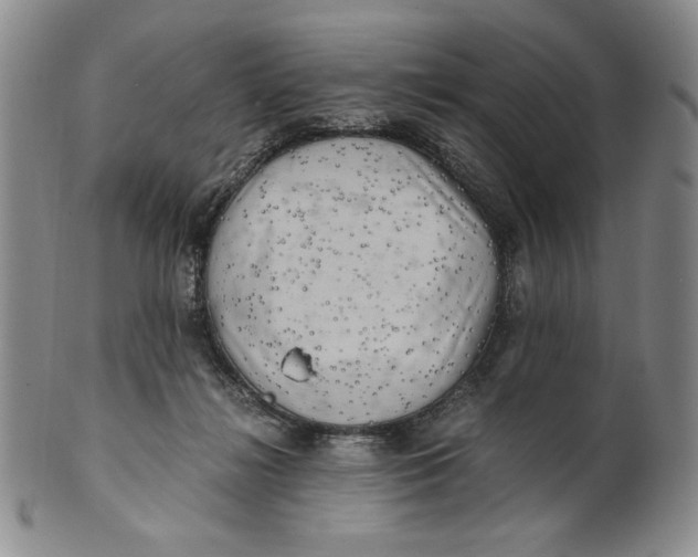 X0000100760268200807101735
