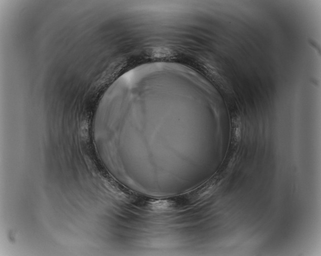 X0000100760269200807101735