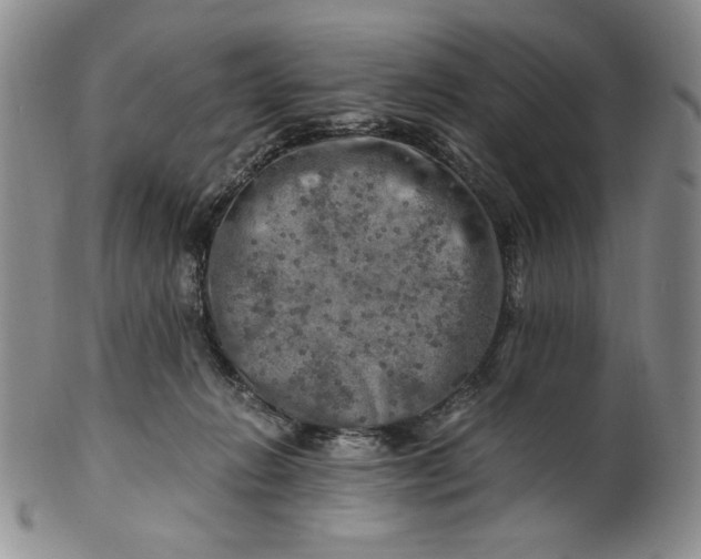 X0000100760270200807101735