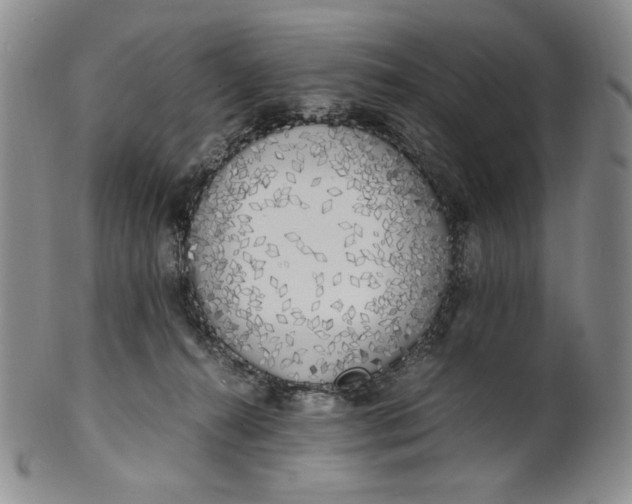 X0000100760272200807101735