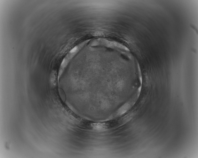 X0000100760273200807101735