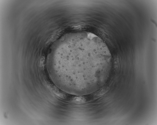X0000100760275200807101735