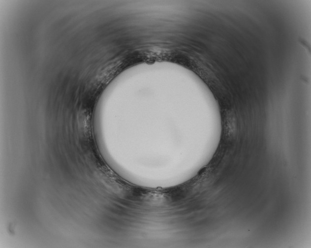X0000100760276200807101735