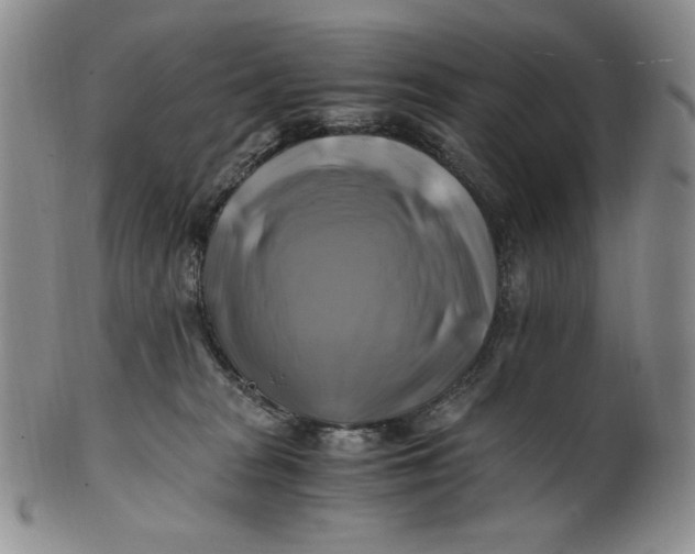 X0000100760277200807101735