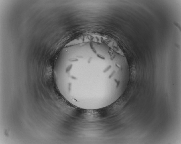 X0000100760278200807101735