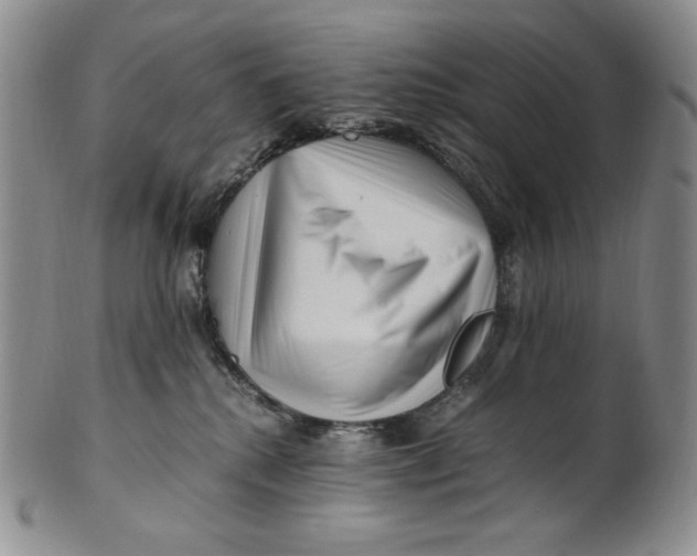 X0000100760280200807101735
