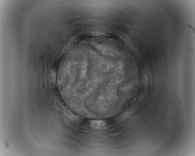 X0000100760281200807101735