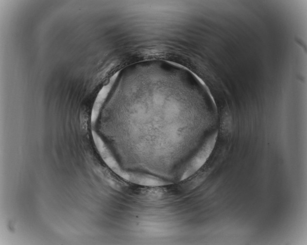X0000100760282200807101735