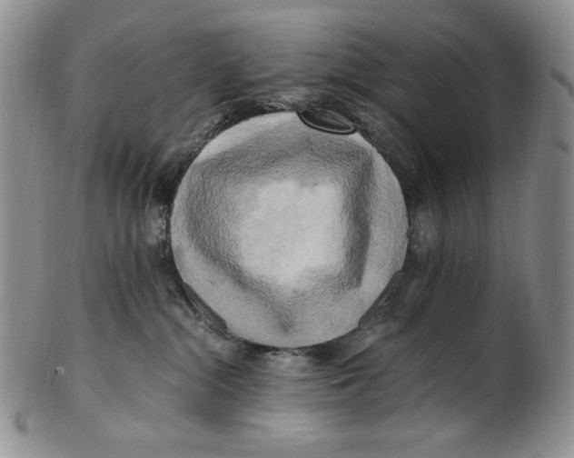 X0000100760284200807101735