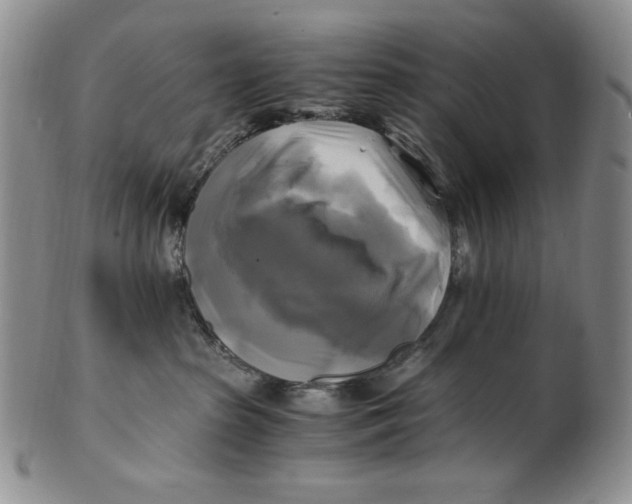 X0000100760285200807101735