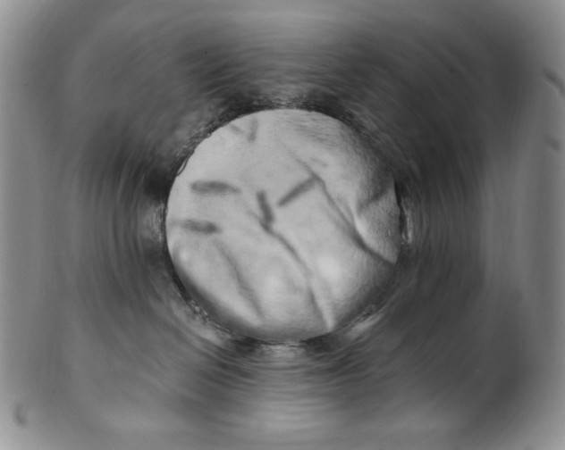 X0000100760286200807101735