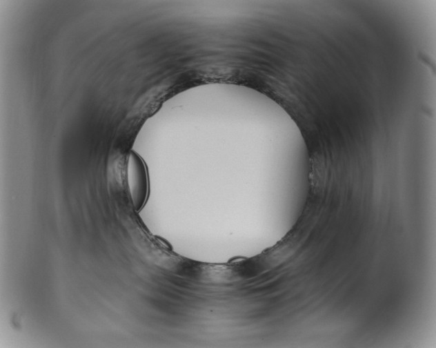 X0000100760287200807101735
