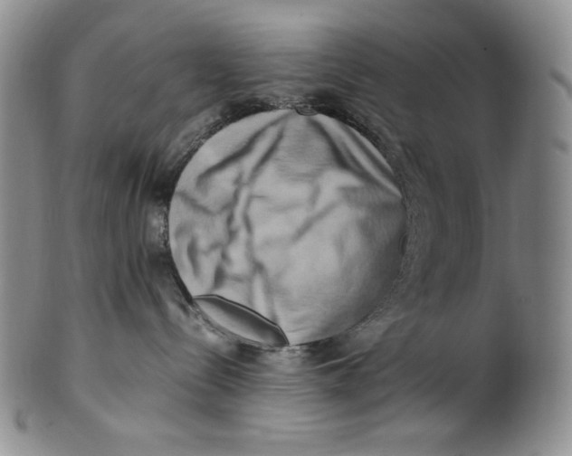 X0000100760288200807101735