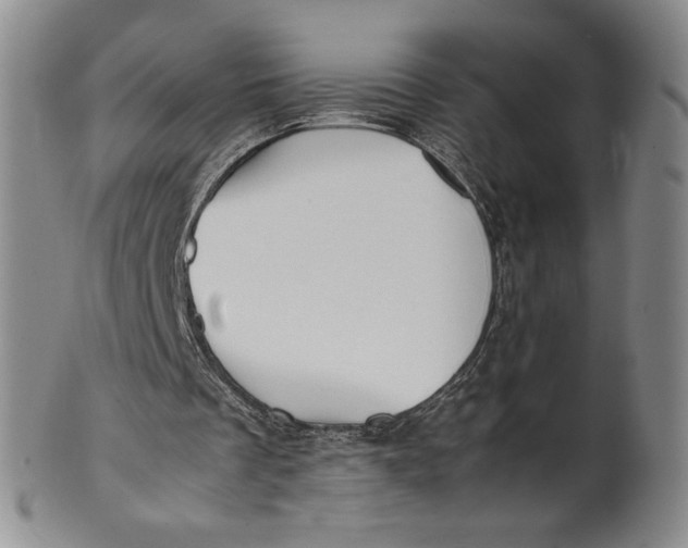 X0000100760289200807101734