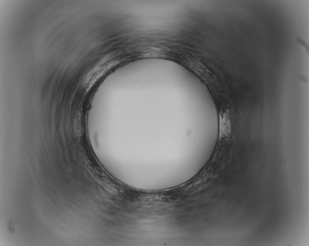 X0000100760291200807101734