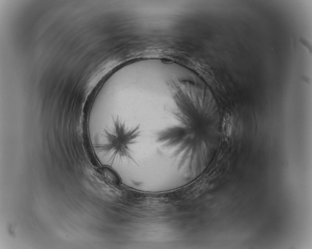 X0000100760292200807101734