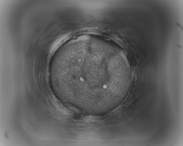 X0000100760293200807101734