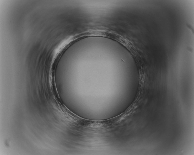 X0000100760294200807101734
