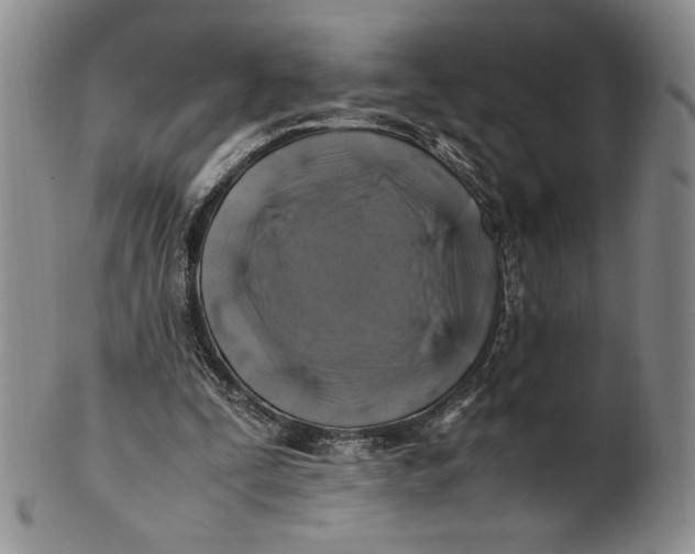 X0000100760295200807101734