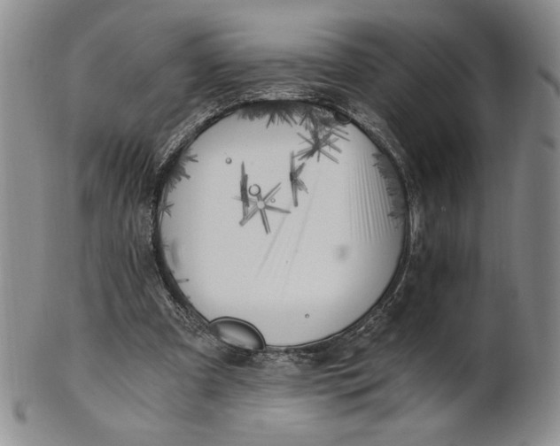 X0000100760297200807101734