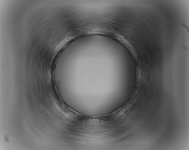 X0000100760298200807101734