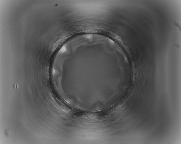 X0000100760299200807101734