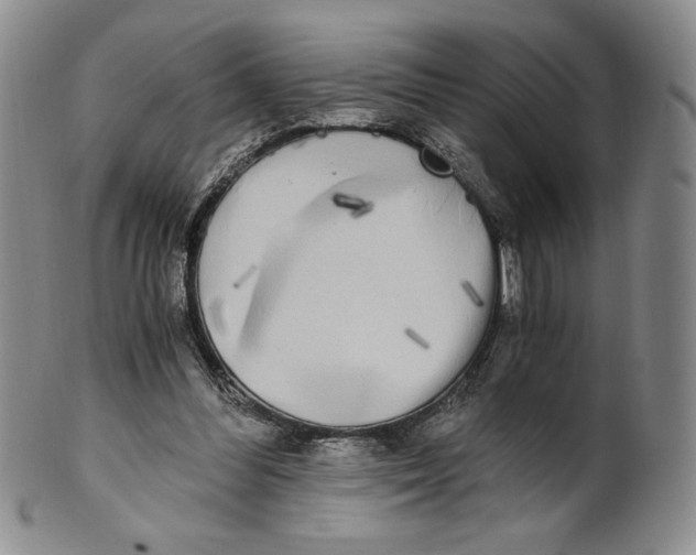 X0000100760300200807101734