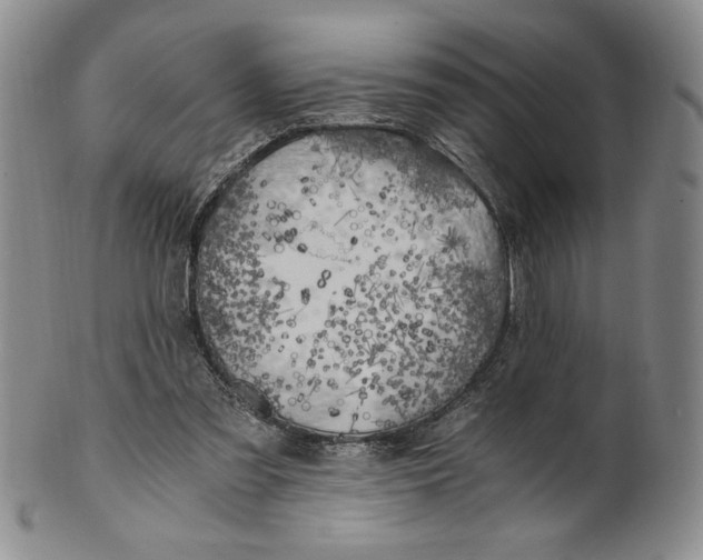 X0000100760301200807101734