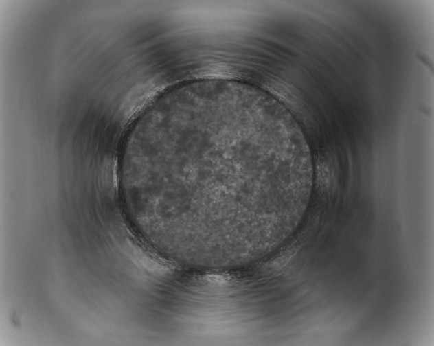 X0000100760302200807101734