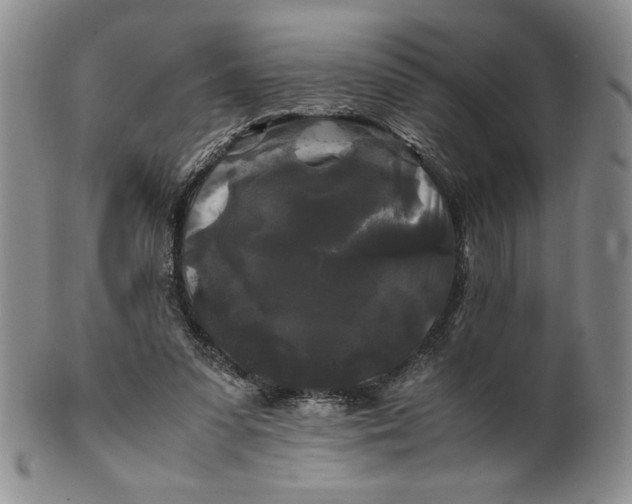 X0000100760303200807101734