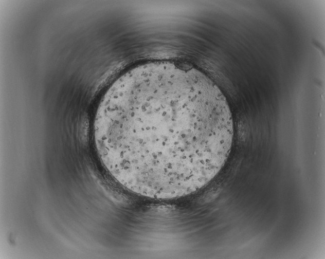 X0000100760304200807101734