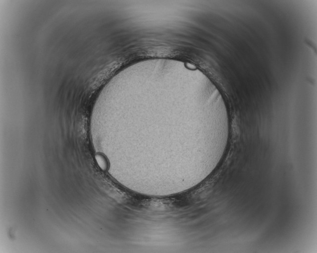 X0000100760305200807101734