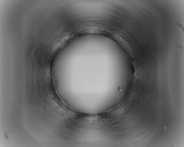 X0000100760306200807101734