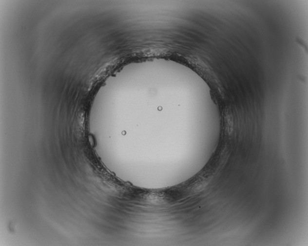X0000100760308200807101734