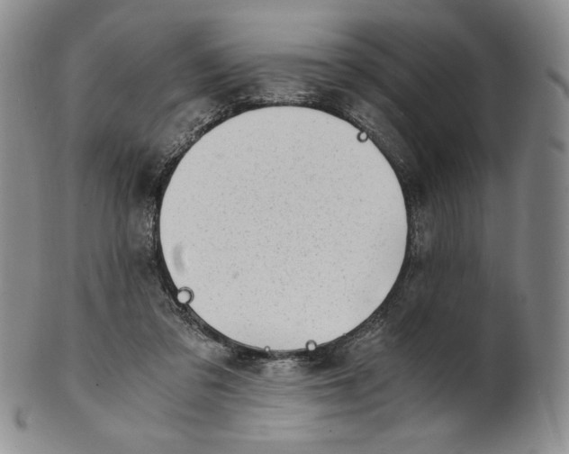 X0000100760309200807101734