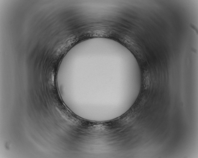X0000100760310200807101734