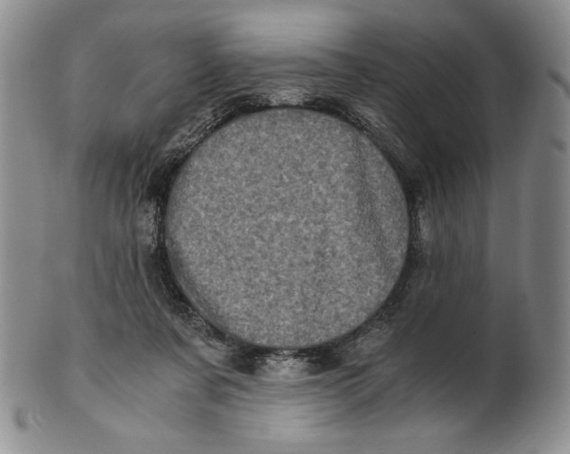 X0000100760311200807101734