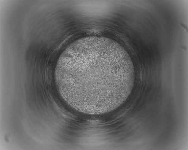 X0000100760312200807101734