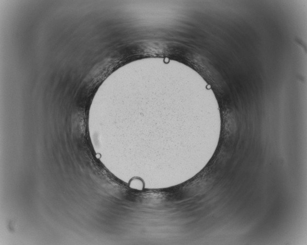 X0000100760313200807101734