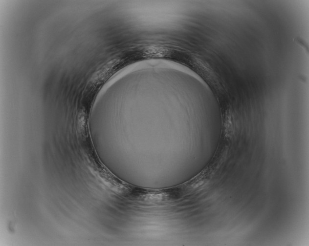 X0000100760314200807101734