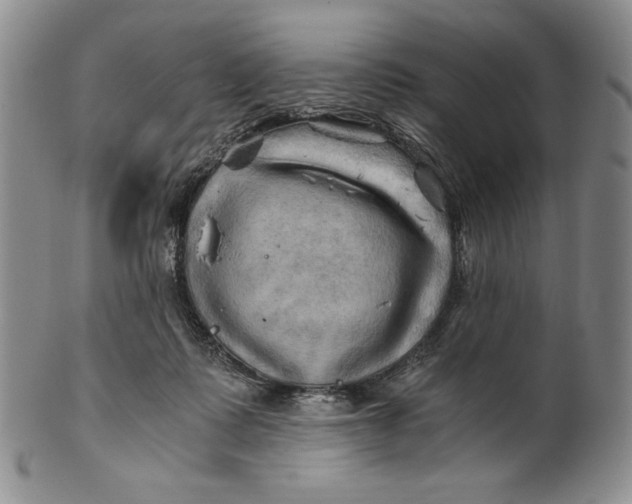 X0000100760315200807101734