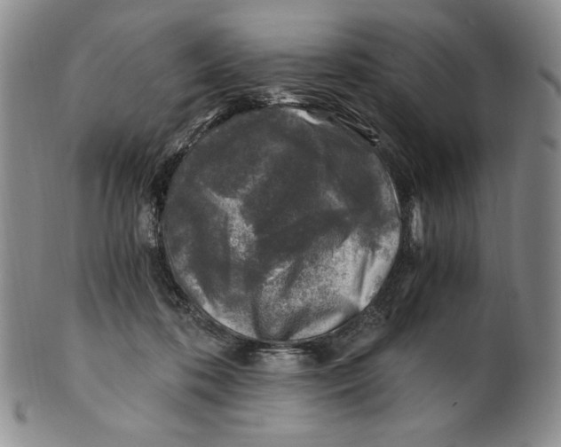 X0000100760316200807101734
