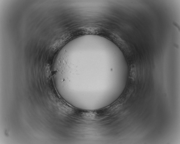 X0000100760318200807101734