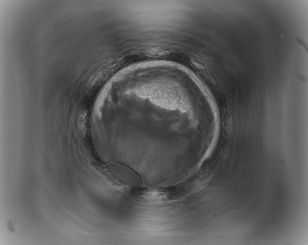 X0000100760319200807101734